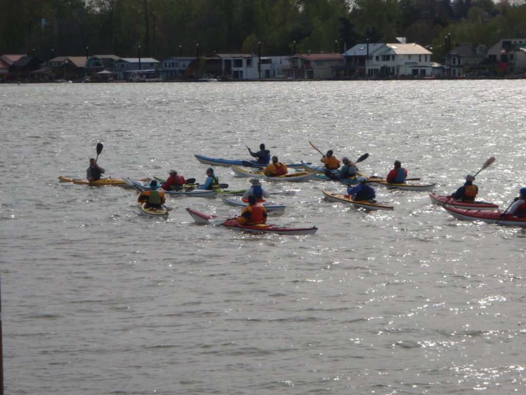 Essential Kayaking Class Portland Kayak Company Kayak Shop, Rentals